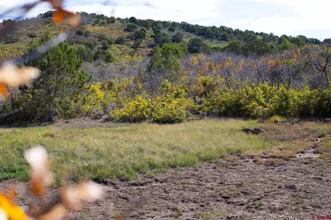 22424 Highway 65, Cedaredge, CO 81413 photo 20