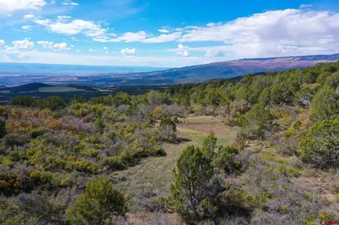 22424 Highway 65, Cedaredge, CO 81413 photo 15