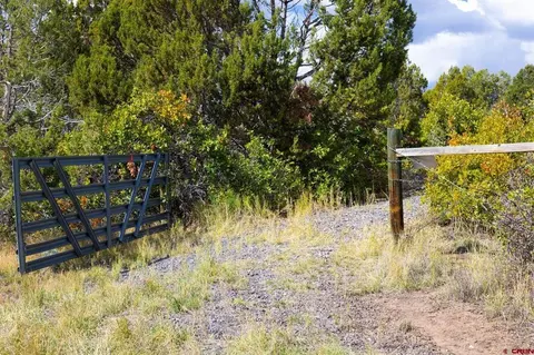 22424 Highway 65, Cedaredge, CO 81413 photo 5