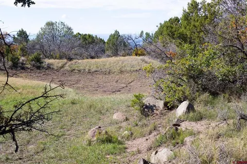 22424 Highway 65, Cedaredge, CO 81413 photo 16