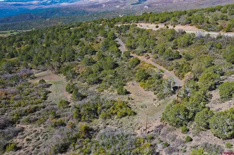 22424 Highway 65, Cedaredge, CO 81413 photo 27