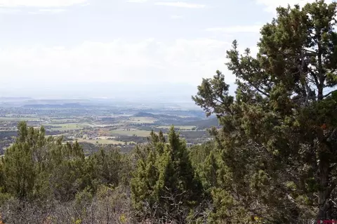 22424 Highway 65, Cedaredge, CO 81413 photo 43
