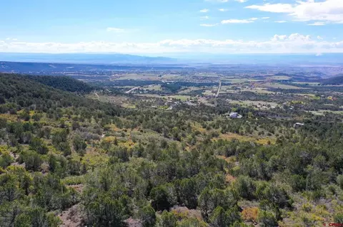 22424 Highway 65, Cedaredge, CO 81413 photo 32