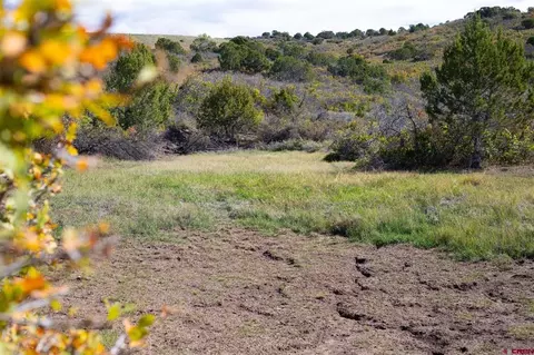 22424 Highway 65, Cedaredge, CO 81413 photo 21