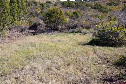 22424 Highway 65, Cedaredge, CO 81413 photo 17