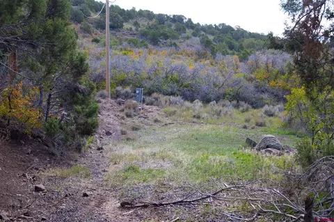 22424 Highway 65, Cedaredge, CO 81413 photo 24