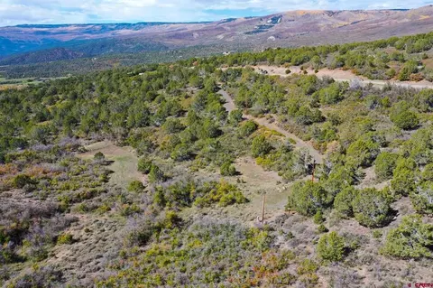 22424 Highway 65, Cedaredge, CO 81413 photo 28