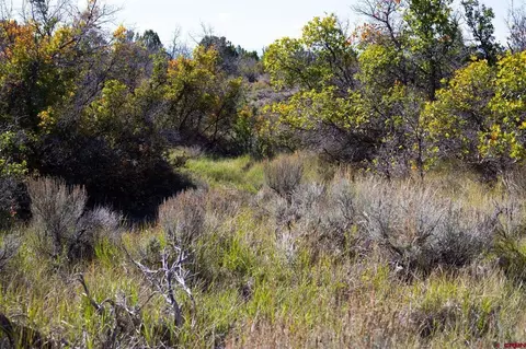 22424 Highway 65, Cedaredge, CO 81413 photo 14