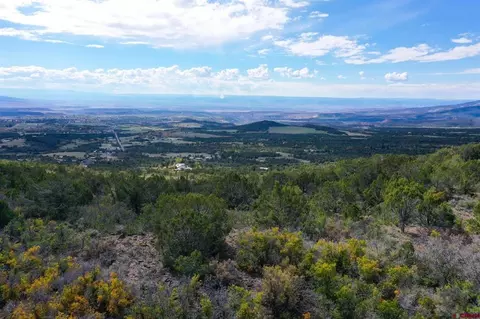 22424 Highway 65, Cedaredge, CO 81413 photo 41