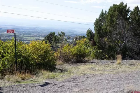 22424 Highway 65, Cedaredge, CO 81413 photo 2