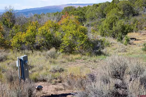 22424 Highway 65, Cedaredge, CO 81413 photo 7