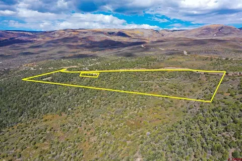 22424 Highway 65, Cedaredge, CO 81413 photo 44