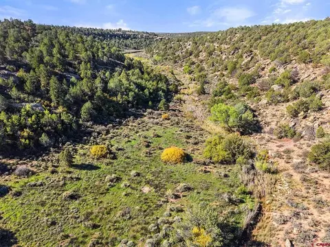 11485 County Road 4, Dove Creek, CO 81324