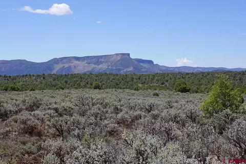 tbd Lot 2 Hwy 184, Mancos, CO 81328
