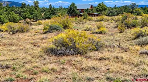 463 Wildhorse Trl, South Fork, CO 81154