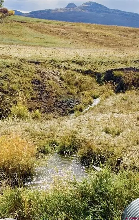 tbd County Rd 21, Cimarron, CO 81220 photo 3