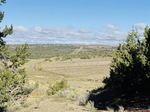24832 Road V5, Dolores, CO 81323