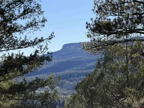 X S Cougar Court, Pagosa Springs, CO 81147