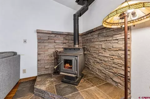 Other - 243 Pine Ridge Loop #C2, Durango, CO 81301 photo 4 of 11
