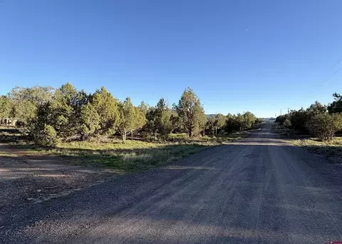 Other - 32 Easy Dr, Arboles, CO 81121 photo 13 of 14