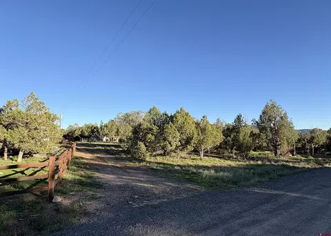 Other - 32 Easy Dr, Arboles, CO 81121 photo 12 of 14