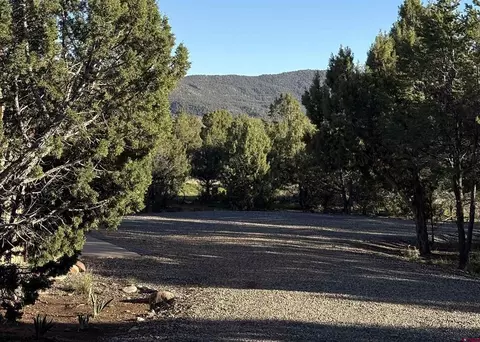 Exterior - 32 Easy Dr, Arboles, CO 81121 photo 3 of 10