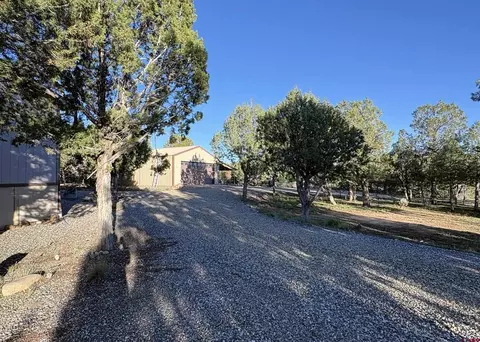 Exterior - 32 Easy Dr, Arboles, CO 81121 photo 8 of 10