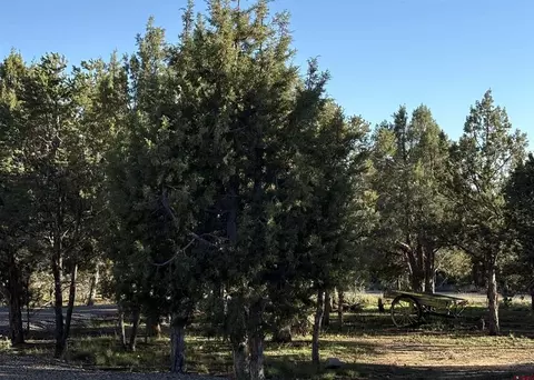 Exterior - 32 Easy Dr, Arboles, CO 81121 photo 4 of 10