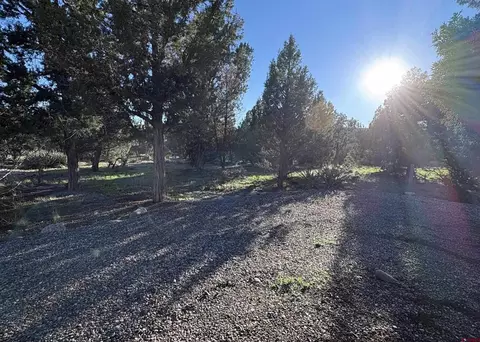 Other - 32 Easy Dr, Arboles, CO 81121 photo 2 of 14