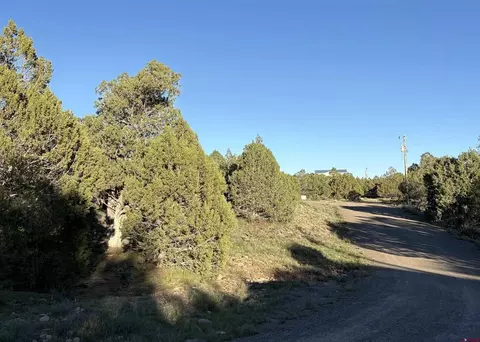 Other - 32 Easy Dr, Arboles, CO 81121 photo 11 of 14