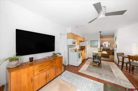651 W Pacific Ave #102A, Telluride, CO 81435