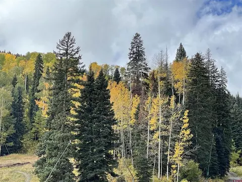 Other - 117 Needles Way #420, Durango, CO 81301 photo 17 of 18