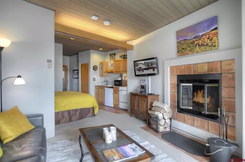 Other - 117 Needles Way #420, Durango, CO 81301 photo 3 of 18