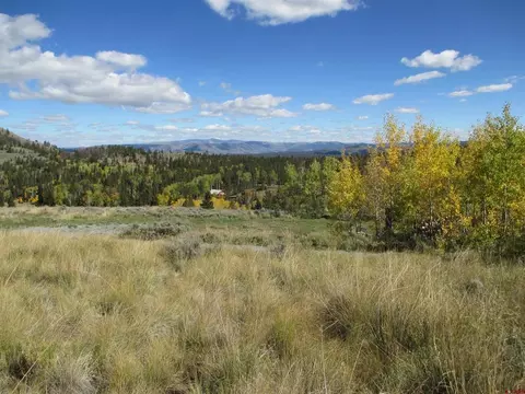 44 Gothic Trl, Powderhorn, CO 81243