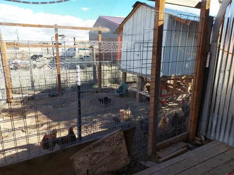 Exterior - 42 Browns Rd, South Fork, CO 81154 photo 8 of 13