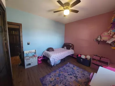 Other - 42 Browns Rd, South Fork, CO 81154 photo 6 of 12