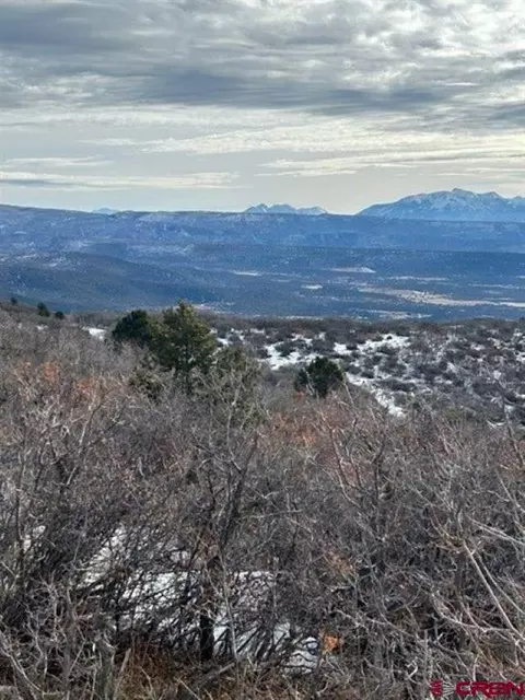 View/Area - Unit 13 West Elk View, Cedaredge, CO 81413 photo 3 of 13