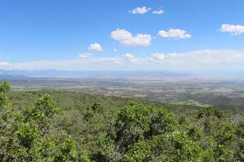 View/Area - Unit 13 West Elk View, Cedaredge, CO 81413 photo 4 of 13