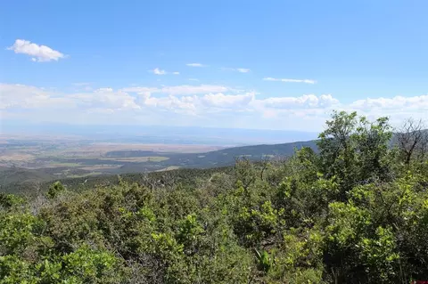 View/Area - Unit 13 West Elk View, Cedaredge, CO 81413 photo 10 of 13
