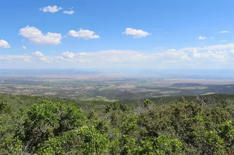 View/Area - Unit 13 West Elk View, Cedaredge, CO 81413 photo 9 of 13