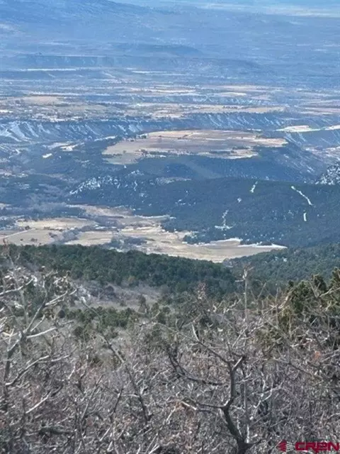 View/Area - Unit 13 West Elk View, Cedaredge, CO 81413 photo 1 of 13