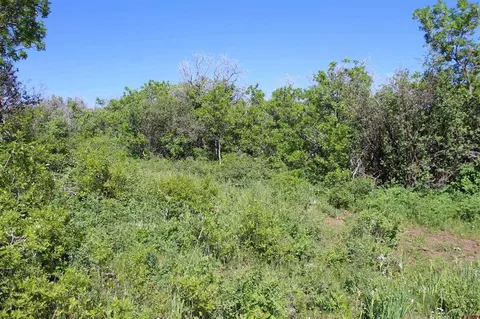 Other - Unit 13 West Elk View, Cedaredge, CO 81413 photo 4 of 8