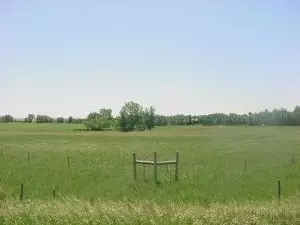 5589 146 Th Ave NW, Williston, ND 58801 photo 11