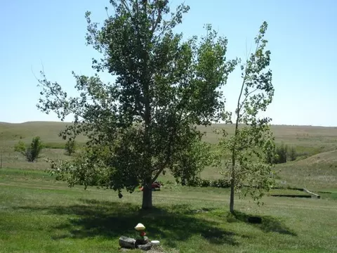 5477 133rd Ave NW, Williston, ND 58801 photo 4