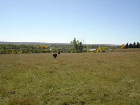 4848 Hwy 85 #LOT 318, Williston, ND 58801 photo 29