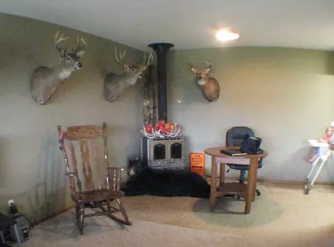11795 Highway 1804, Ray, ND 58849 photo 7