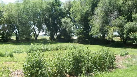 3411 2nd Ave E, Williston, ND 58801 photo 24