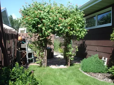 1302 9th Ave W, Williston, ND 58801 photo 22