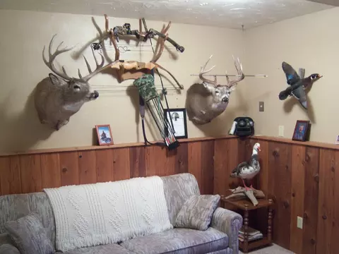806 7th Ave W, Williston, ND 58801 photo 20