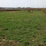 14011 Madison Ln, Williston, ND 58801 photo 4